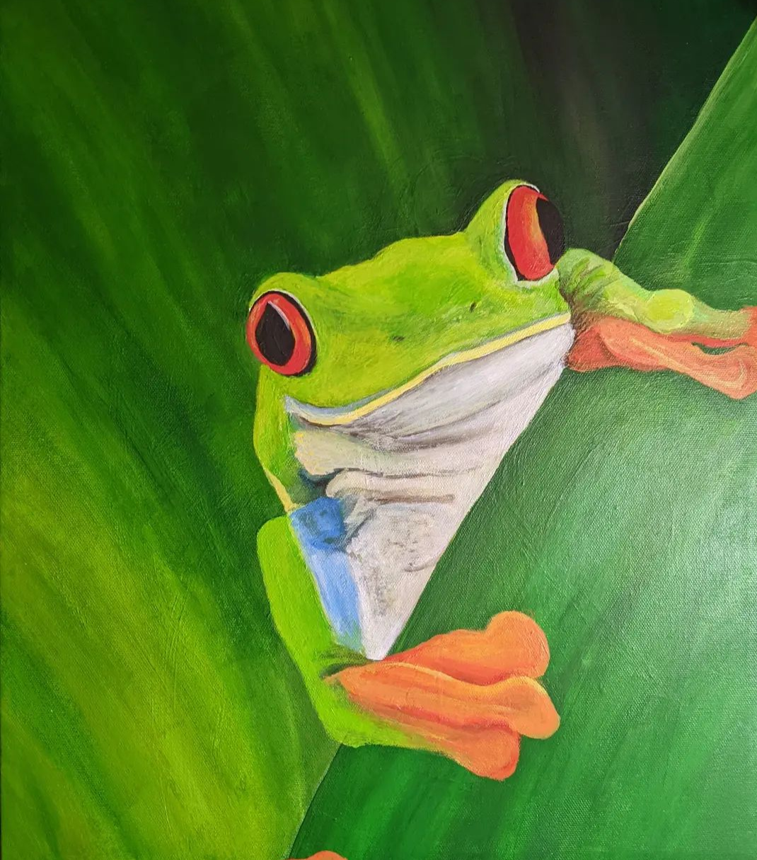 Red Eyed Tree Frog