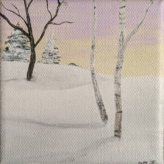 Snowy Birch